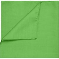 Bandana - Lime Green