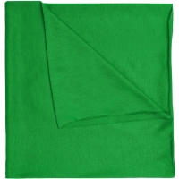 Economic X-Tube Polyester - Fern green