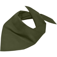 Triangular Scarf - Olive