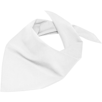 Triangular Scarf - White